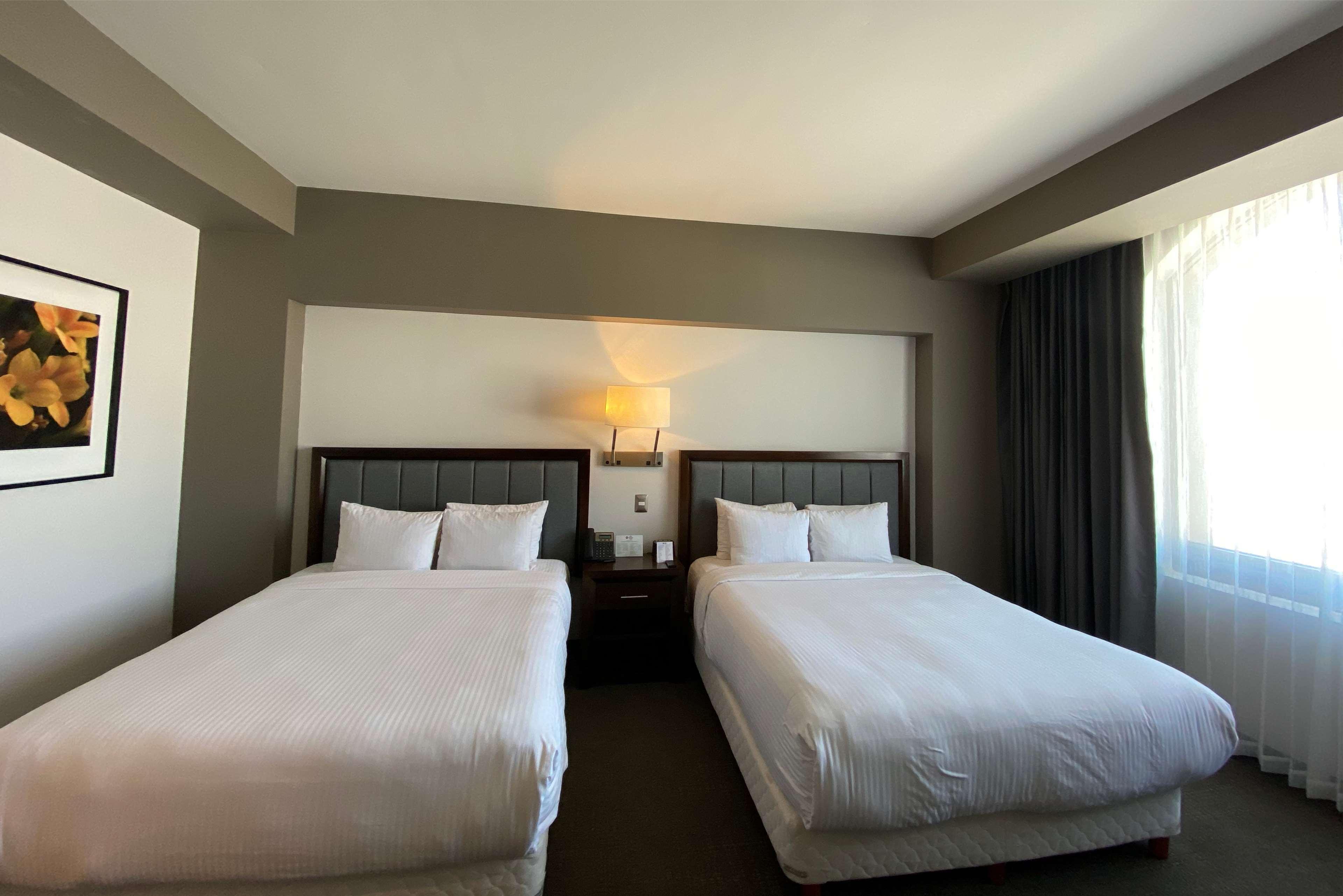 Best Western Oak Meadows Inn Сейнт Хелънс Екстериор снимка